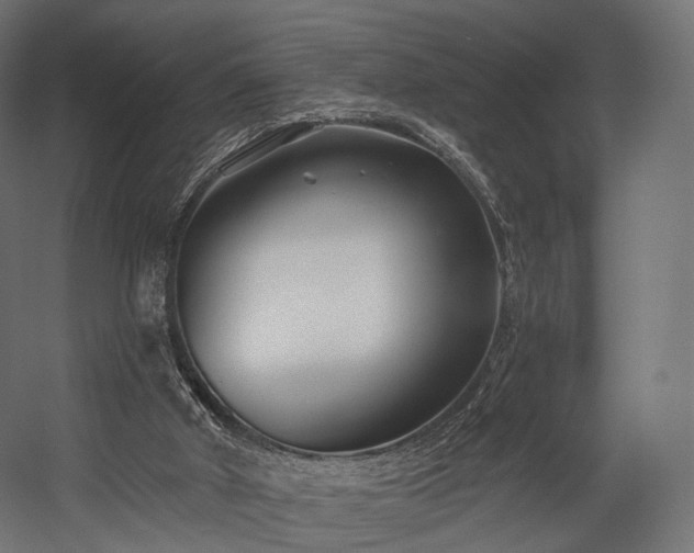X0000058770010200510031058