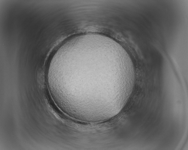 X0000058770012200510031058
