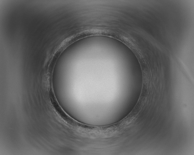 X0000058770016200510031058