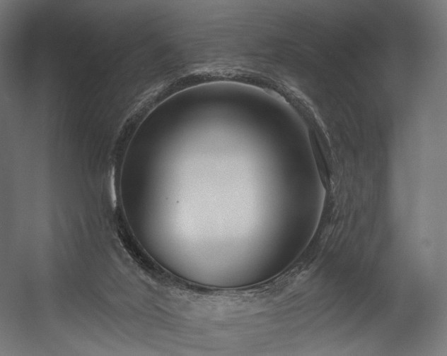 X0000058770020200510031058