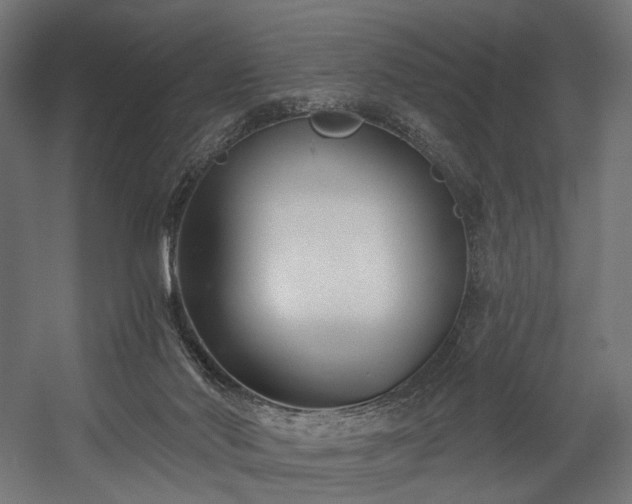 X0000058770022200510031058