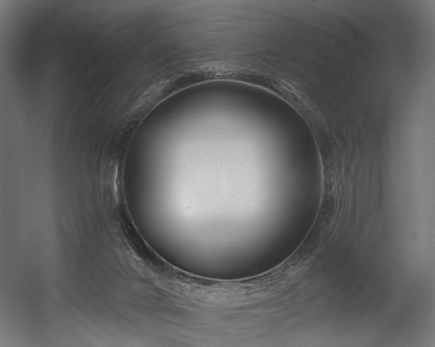 X0000058770024200510031058