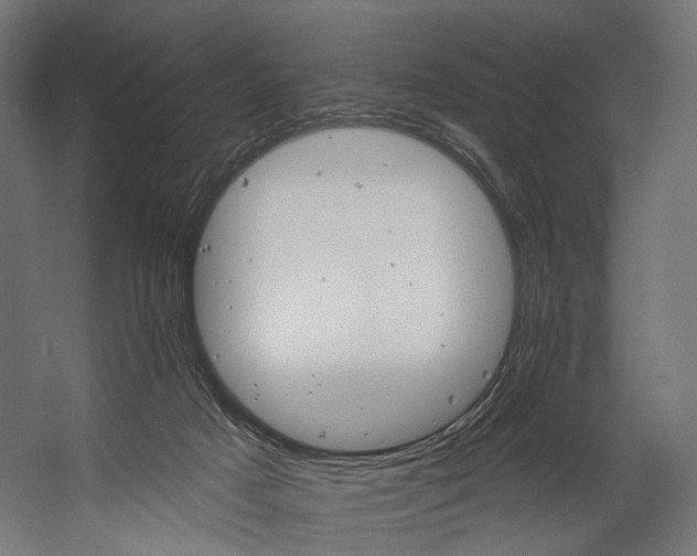 X0000058770025200510031058