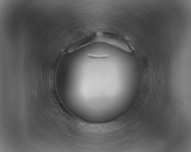 X0000058770030200510031057
