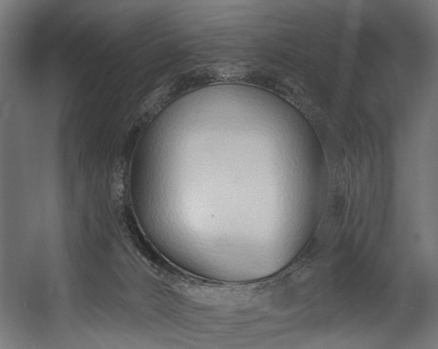 X0000058770032200510031057
