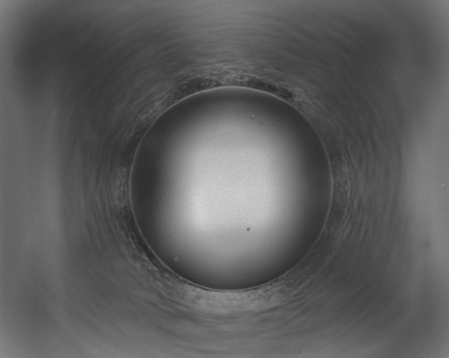 X0000058770034200510031057