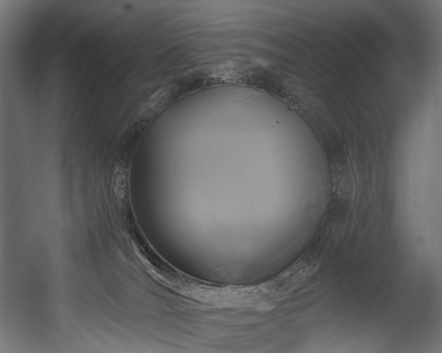 X0000058770036200510031057
