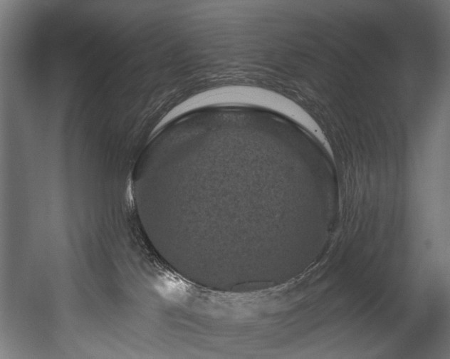 X0000058770041200510031057