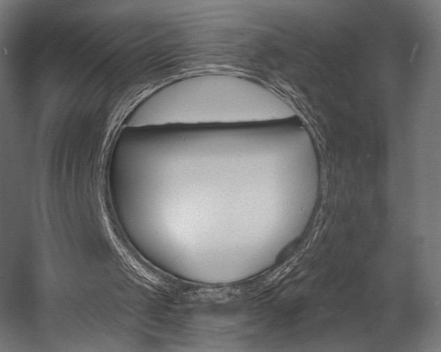 X0000058770049200510031056