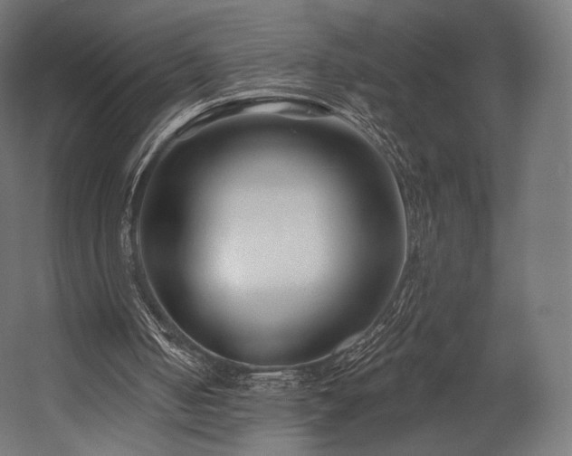 X0000058770050200510031056