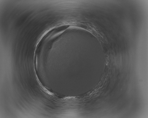 X0000058770052200510031056