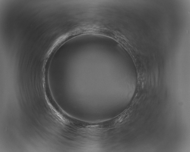 X0000058770054200510031056