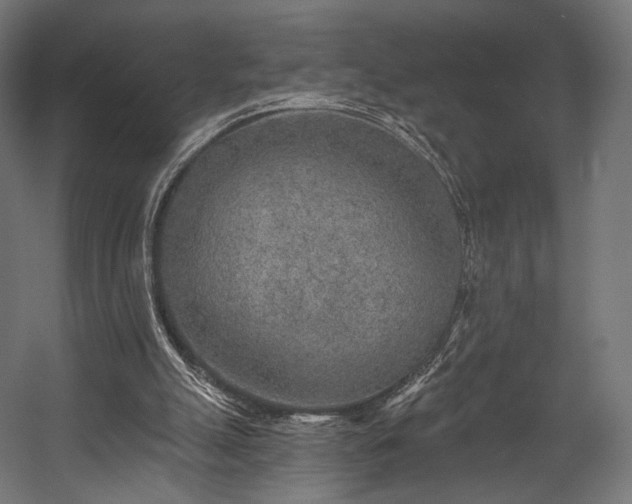 X0000058770055200510031056