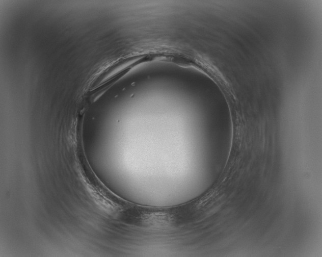 X0000058770058200510031056