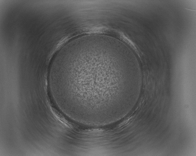 X0000058770059200510031056