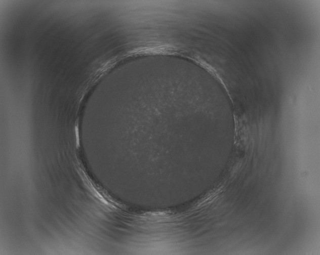 X0000058770061200510031056