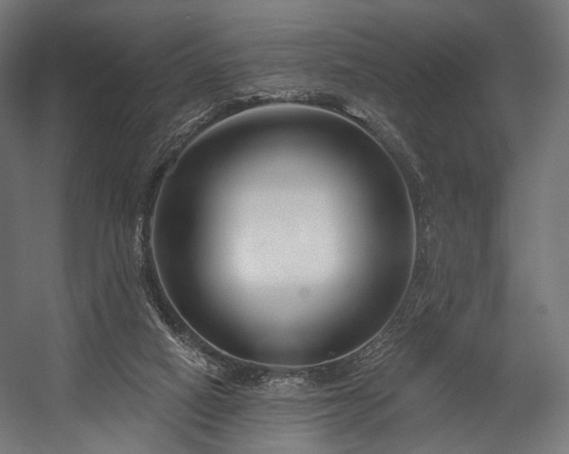 X0000058770066200510031057