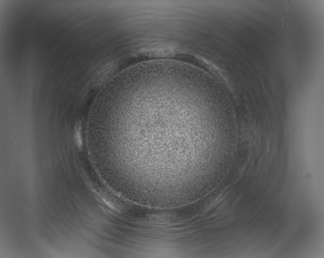 X0000058770069200510031057