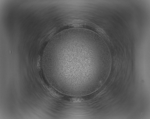 X0000058770073200510031057