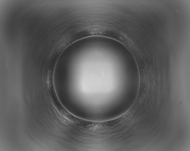 X0000058770074200510031057