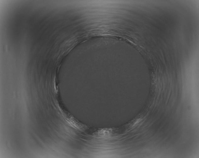 X0000058770080200510031057