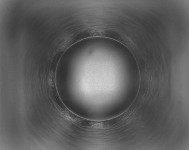 X0000058770083200510031057