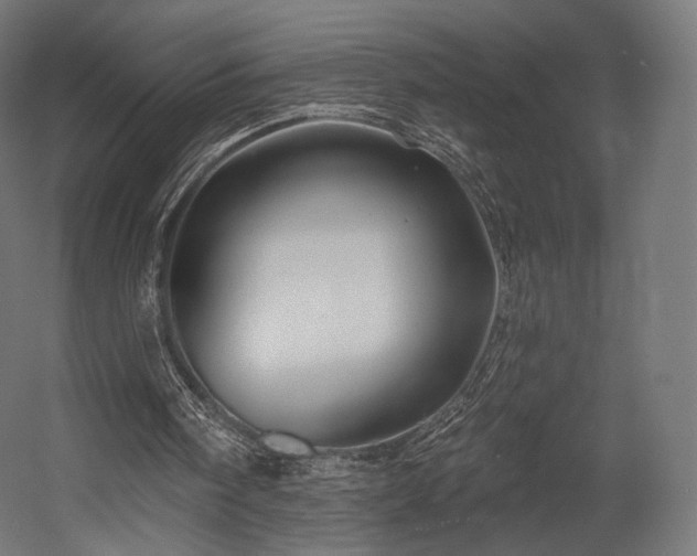X0000058770098200510031056