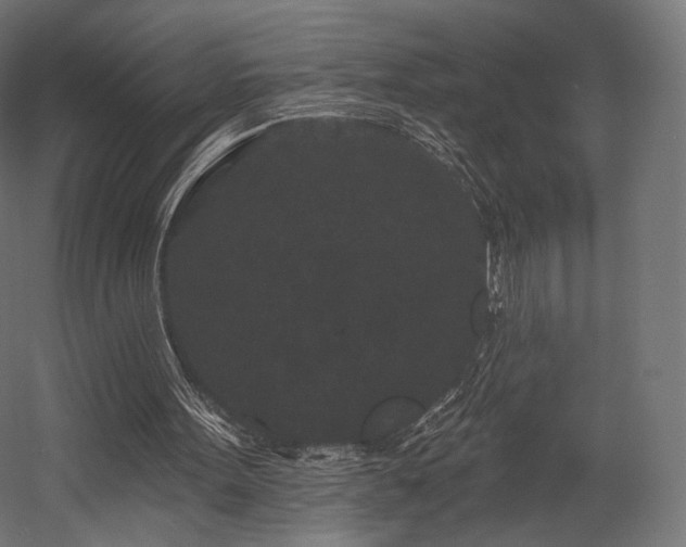 X0000058770099200510031056