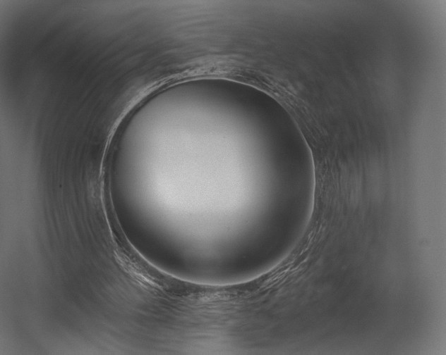 X0000058770100200510031056