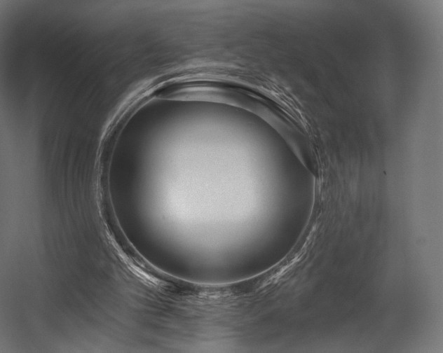 X0000058770101200510031056