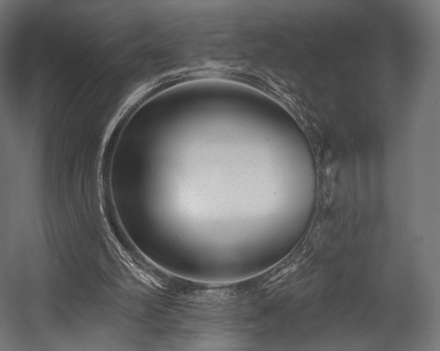 X0000058770102200510031056