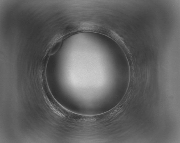 X0000058770106200510031056