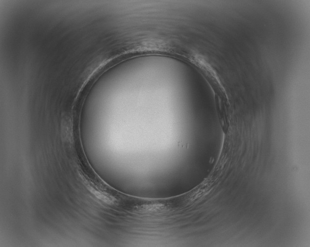 X0000058770108200510031056