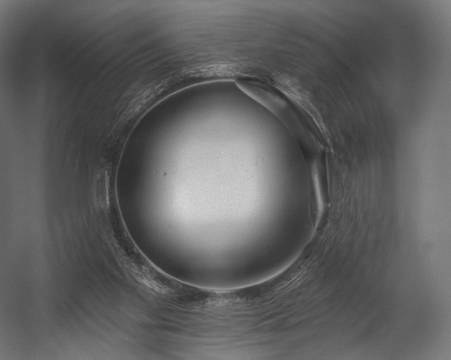 X0000058770109200510031056
