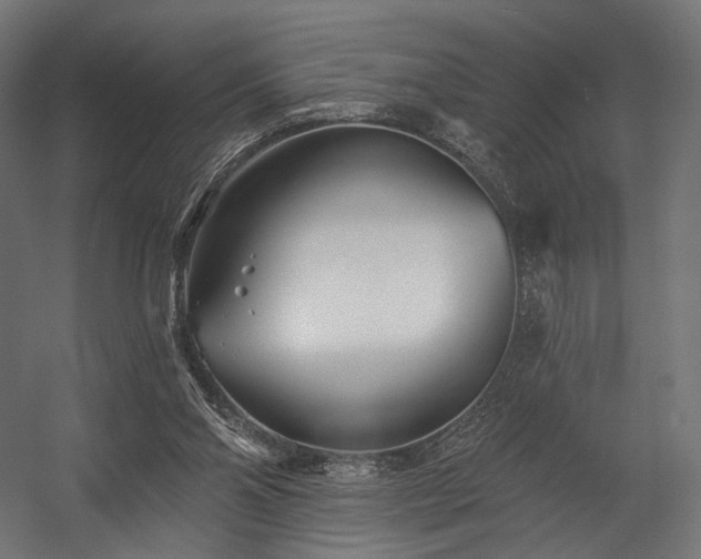 X0000058770110200510031056