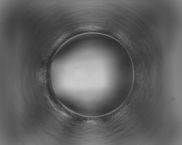 X0000058770111200510031056