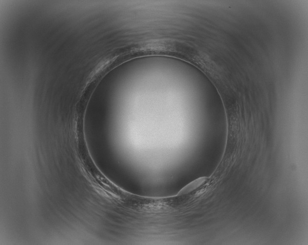 X0000058770112200510031056