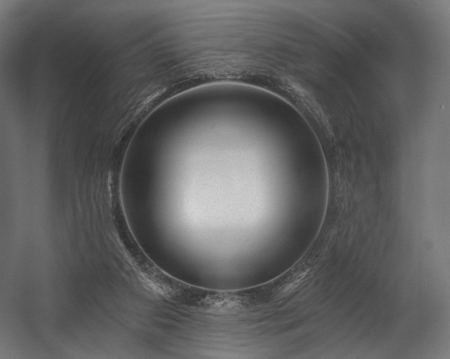 X0000058770113200510031056