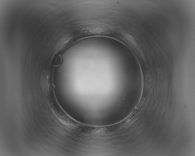 X0000058770116200510031056