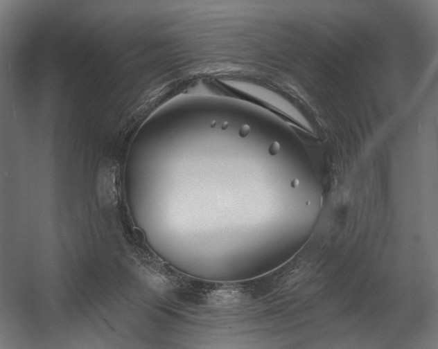 X0000058770119200510031056