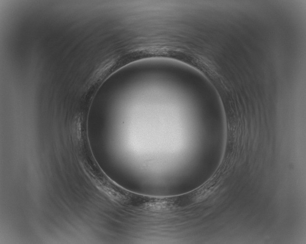X0000058770120200510031056