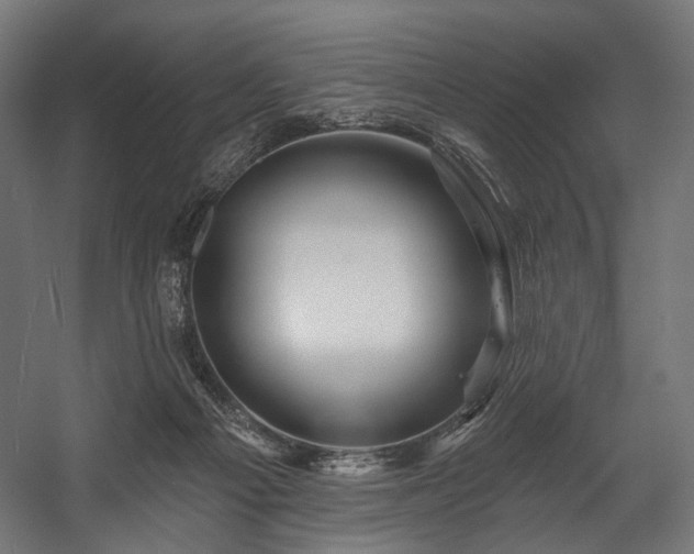 X0000058770121200510031056