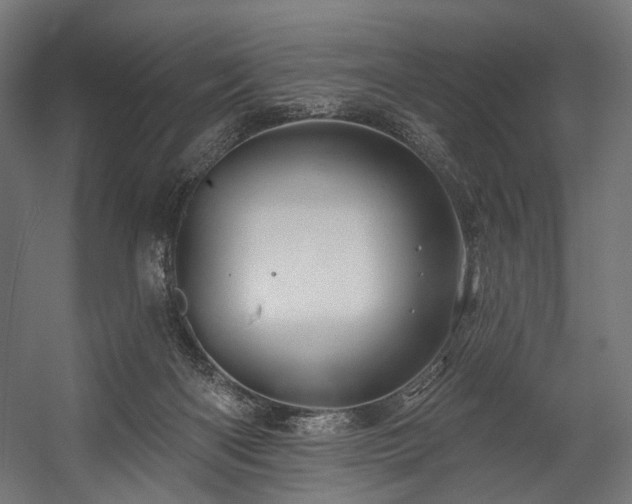X0000058770122200510031056