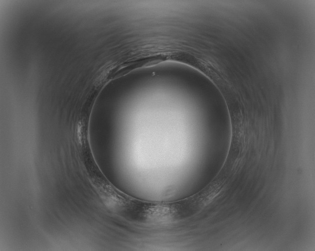 X0000058770123200510031056