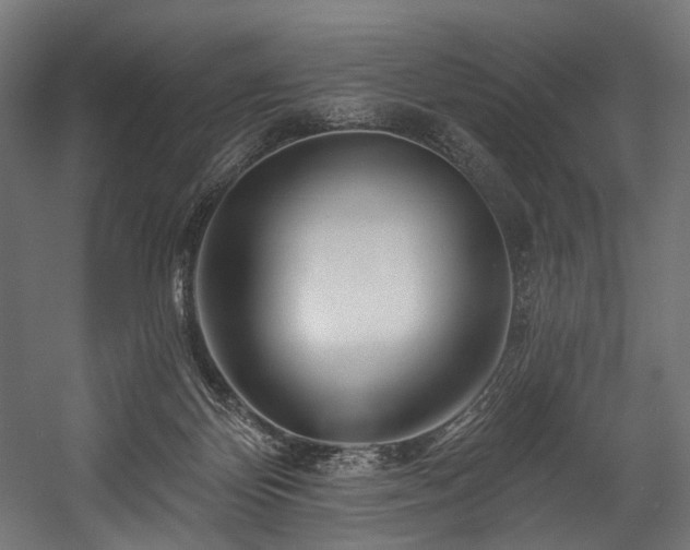 X0000058770124200510031056