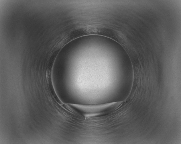 X0000058770125200510031056