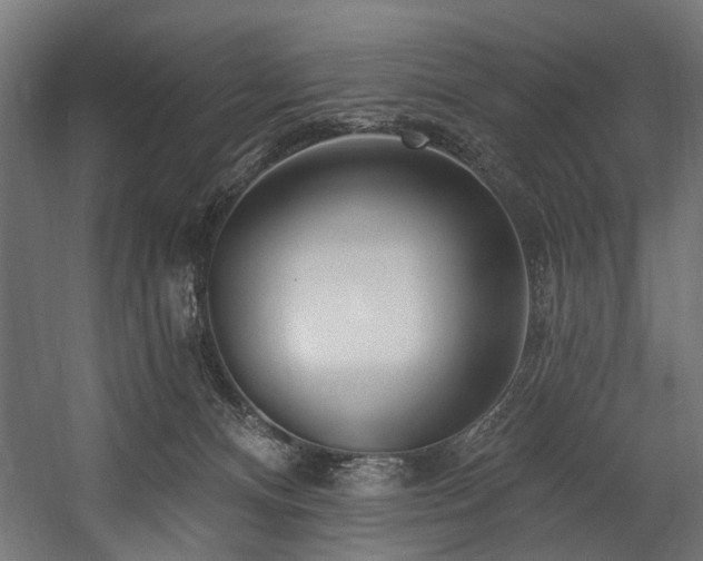 X0000058770128200510031056