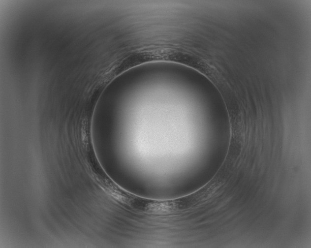 X0000058770131200510031056
