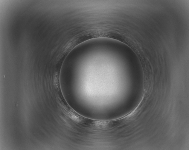 X0000058770144200510031055