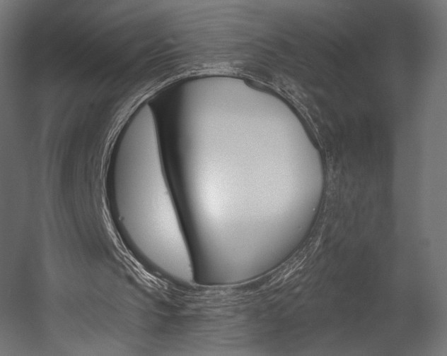 X0000058770145200510031055
